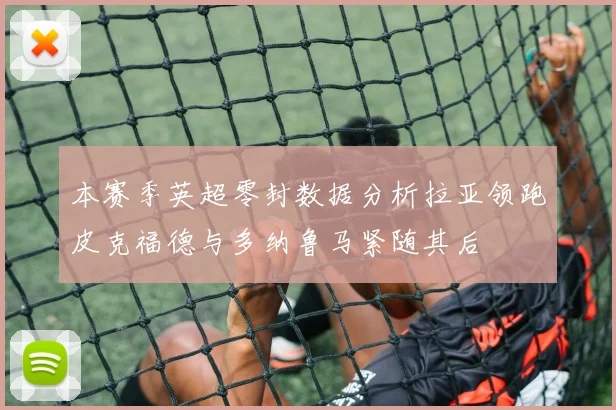 本赛季英超零封数据分析拉亚领跑皮克福德与多纳鲁马紧随其后