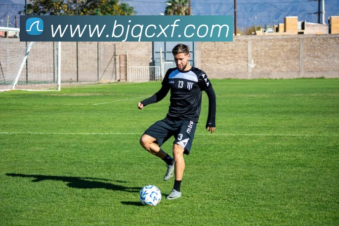 米兰官方体育平台平台生态图